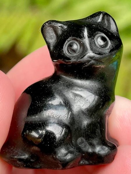 Black Obsidian Cat - Morganna’s Treasures