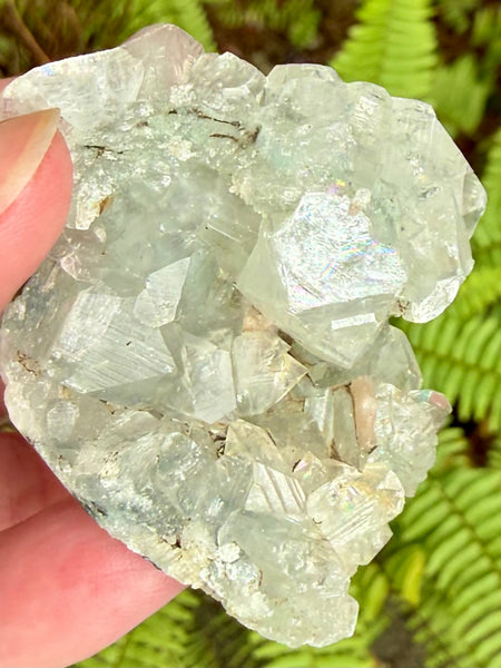 Apophyllite Cluster