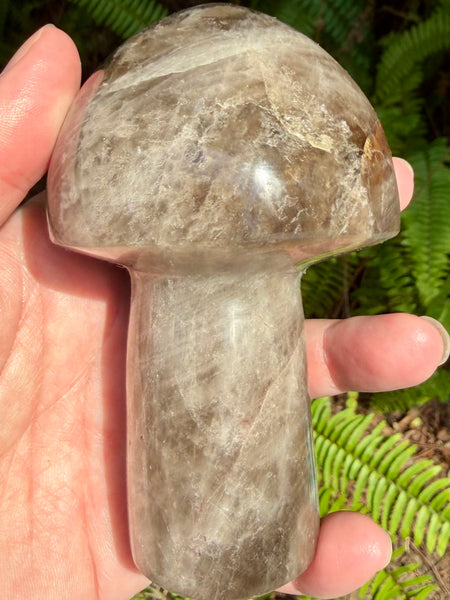 Gorgeous Smoky Quartz Mushroom - Morganna’s Treasures