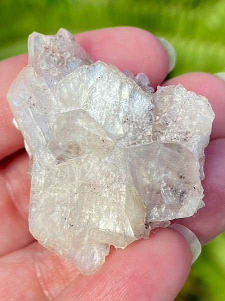 Apophyllite with Stilbite Crystal Cluster - Morganna’s Treasures 