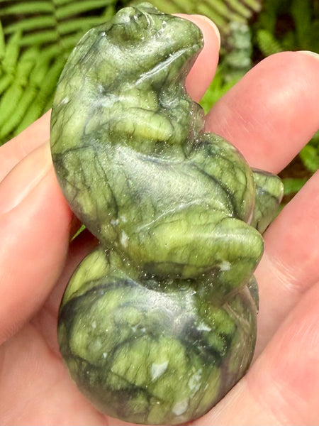 Serpentine Frog