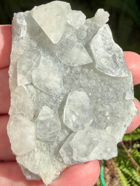 Apophyllite Cluster - Morganna’s Treasures