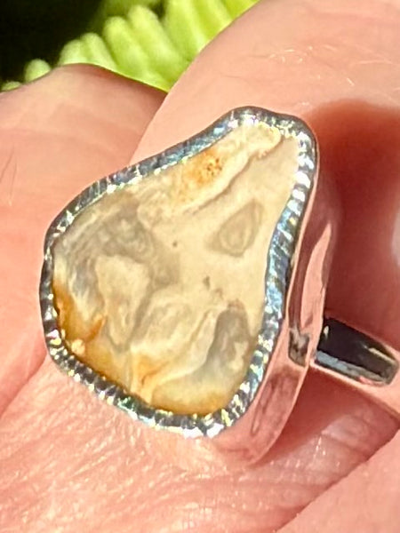 Rare Blue Forest Petrified Wood Ring Size 8 - Morganna’s Treasures