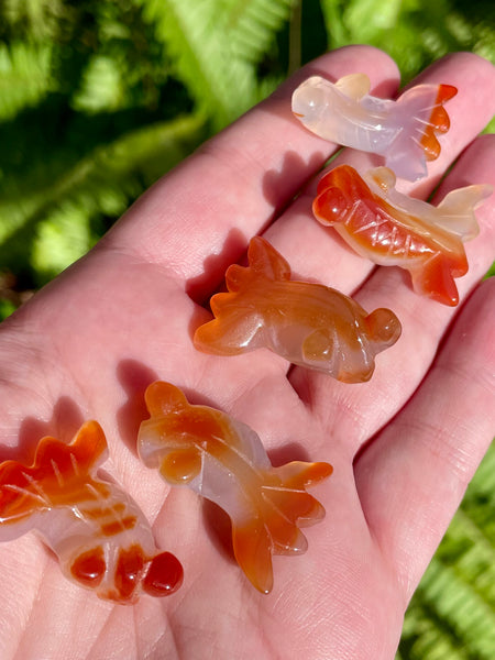 Carnelian Goldfish - Morganna’s Treasures 