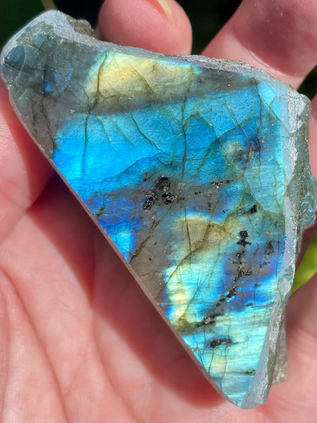 Gorgeous Labradorite Slab - Morganna’s Treasures
