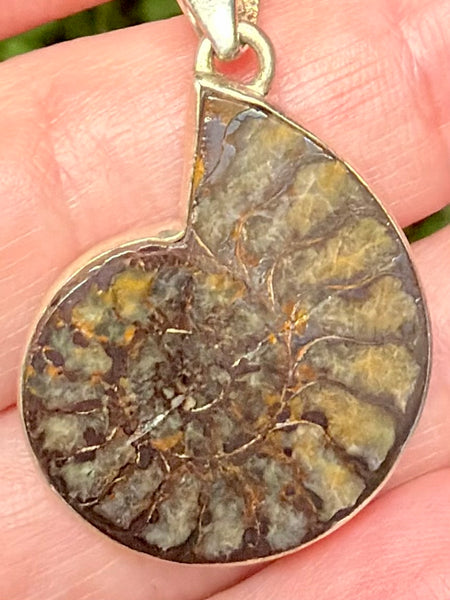 Fossil Quenstedtoceras Pyrite Ammonite Pendant
