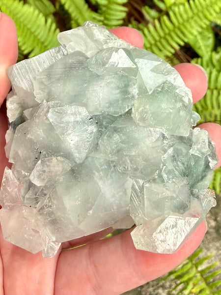 Apophyllite Cluster