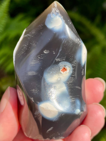 Orca Agate Flame - Morganna’s Treasures