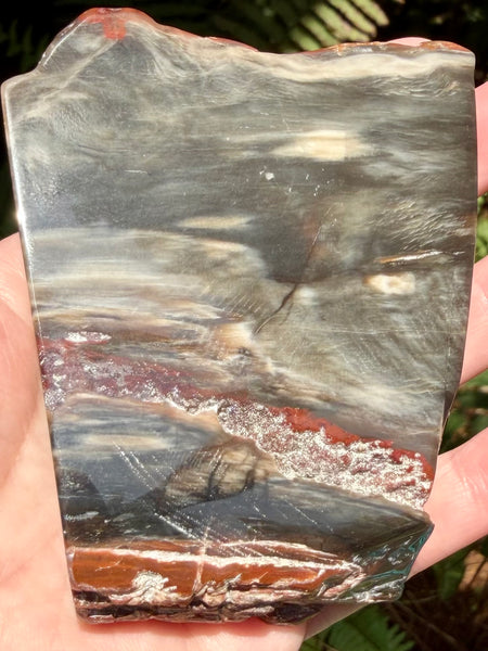 Gorgeous Cherry Creek Jasper Plate