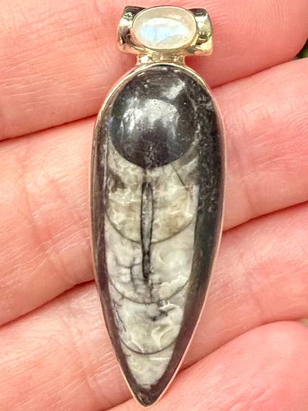 Gorgeous Orthoceras Fossil and Rainbow Moonstone Pendant - Morganna’s Treasures