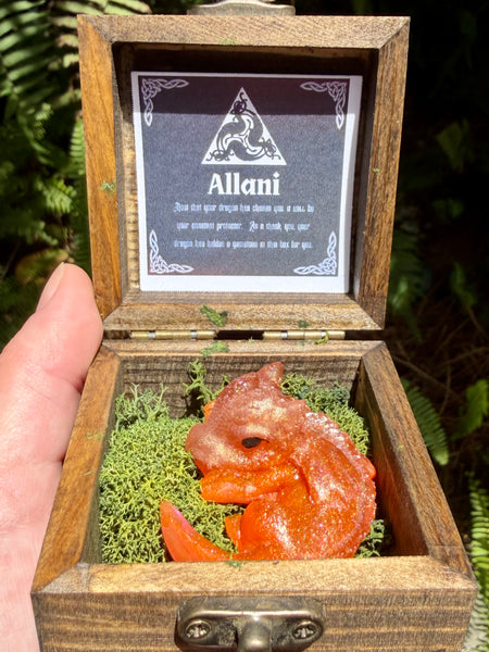 “Allani” Resin Dragon
