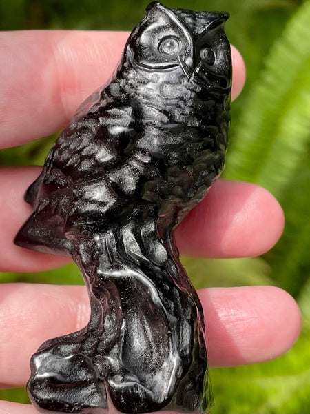 Black Obsidian Owl - Morganna’s Treasures