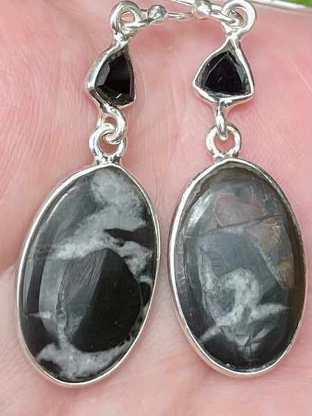 Septarian (Dragon’s Stone) and Black Onyx Earrings - Morganna’s Treasures 