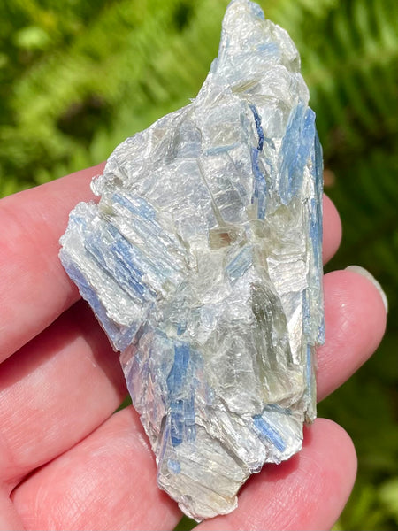 Rough Blue Kyanite - Morganna’s Treasures 