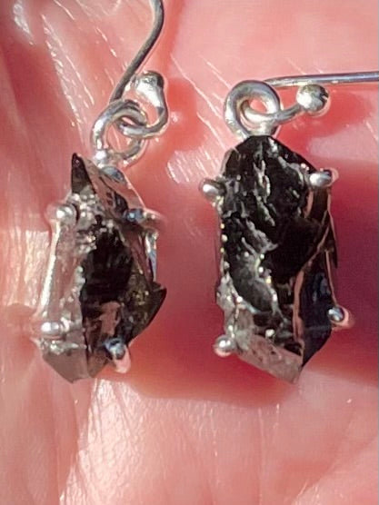 Rough Elite Russian Shungite Earrings - Morganna’s Treasures