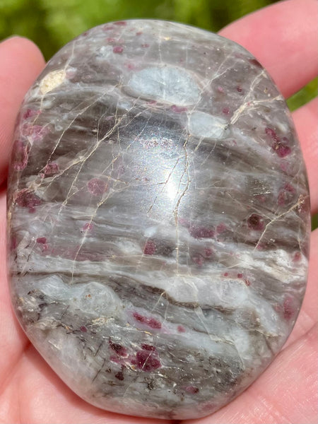 Large Garnet Palm Stone from Madagascar - Morganna’s Treasures 