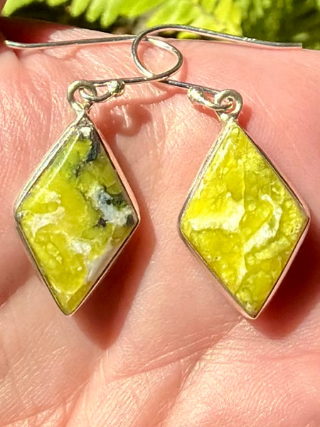 Lizardite Earrings - Morganna’s Treasures