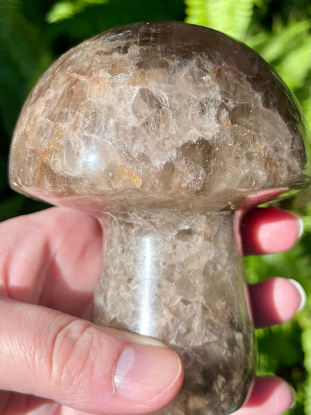 Beautiful Smoky Quartz Mushroom