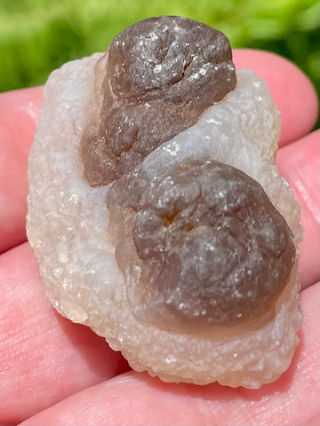 Botroyoidal Chalcedony Palm Stone - Morganna’s Treasures 