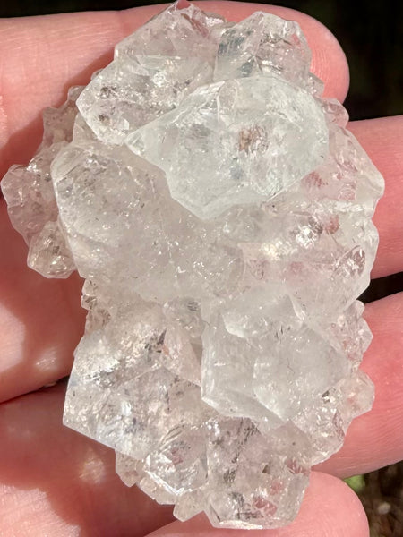 Apophyllite Cluster - Morganna’s Treasures