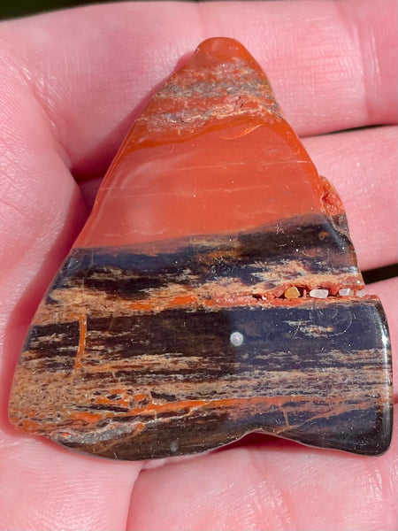 Petrified Wood Palm Stone - Morganna’s Treasures