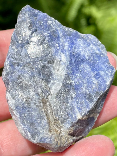 Large Rough Sodalite - Morganna’s Treasures 