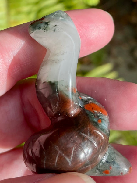 Carved Dragon Bloodstone Cobra - Morganna’s Treasures 