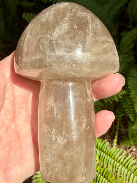 Gorgeous Smoky Quartz Mushroom - Morganna’s Treasures