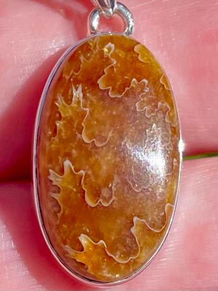 Sutured Ammonite Pendant - Morganna’s Treasures