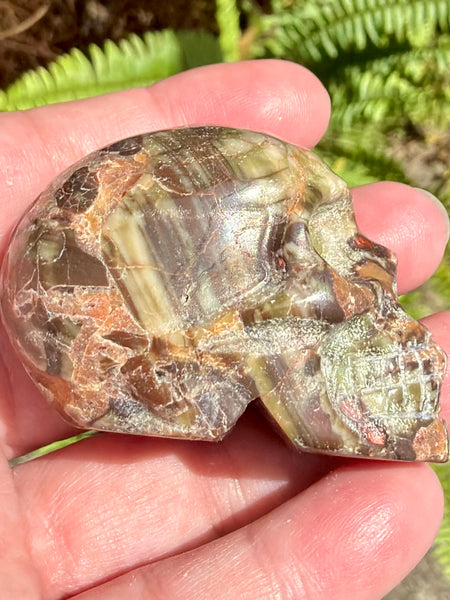 Money Agate Skull - Morganna’s Treasures