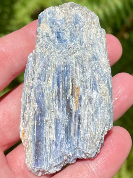 Rough Blue Kyanite - Morganna’s Treasures 