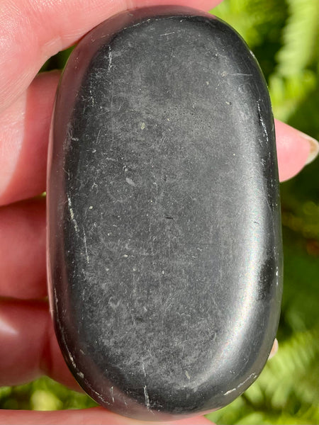 Large Shungite Palm Stones - Morganna’s Treasures 