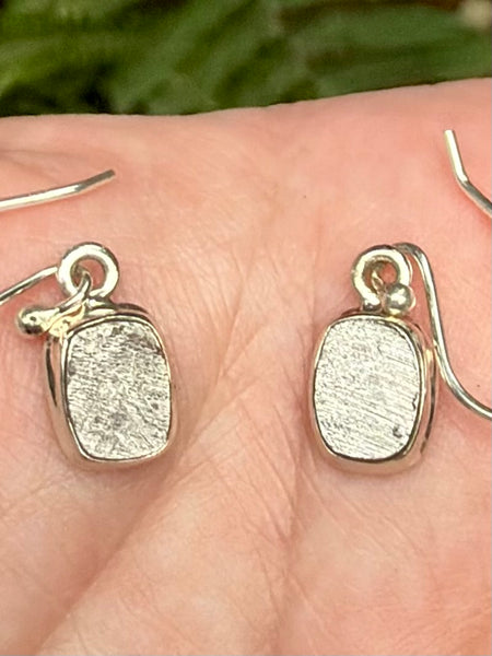 Stunning Muonionalusta Meteorite Earrings