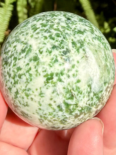 Tree Agate Sphere