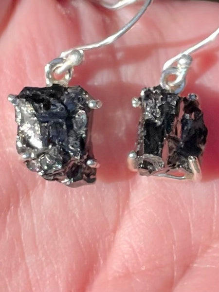 Rough Elite Russian Shungite Earrings - Morganna’s Treasures