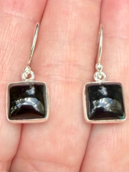 Black Onyx Earrings