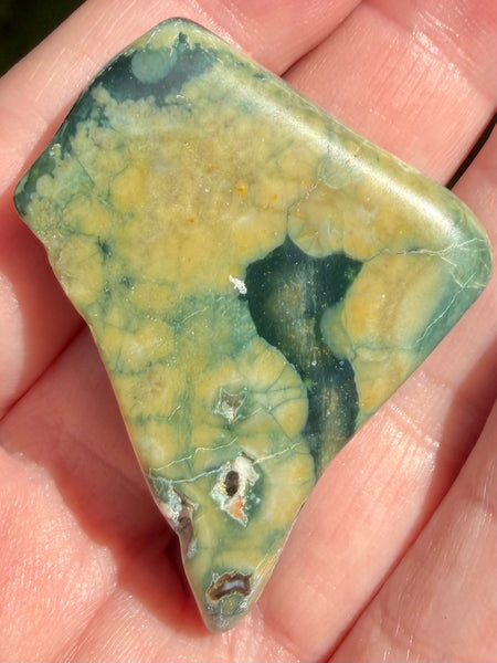 Rainforest Jasper Palm Stone - Morganna’s Treasures