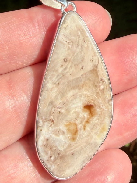 Petrified Wood Slice Pendant