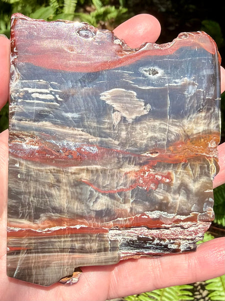 Gorgeous Cherry Creek Jasper Plate
