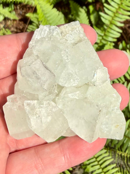 Apophyllite Cluster