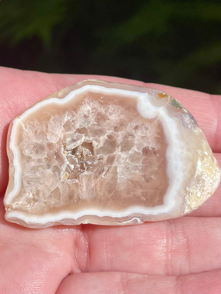 Agate Palm Stone - Morganna’s Treasures