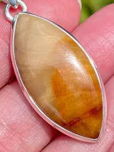 Petrified Wood Pendant - Morganna’s Treasures