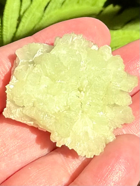 Prehnite Cluster