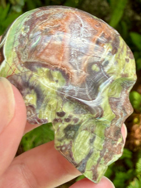 Money Agate Skull