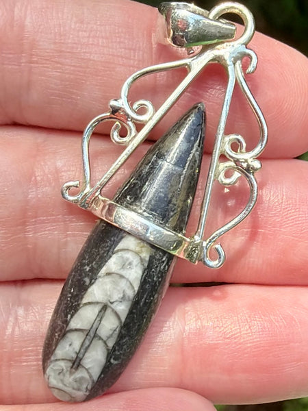 Gorgeous Orthoceras Fossil Pendant