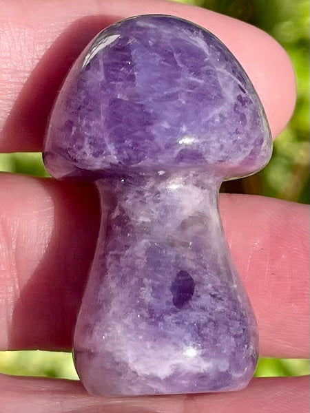 Small Amethyst Mushroom