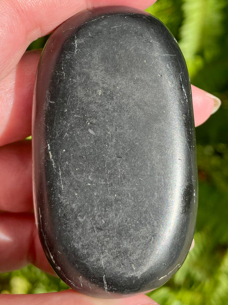 Large Shungite Palm Stones - Morganna’s Treasures 