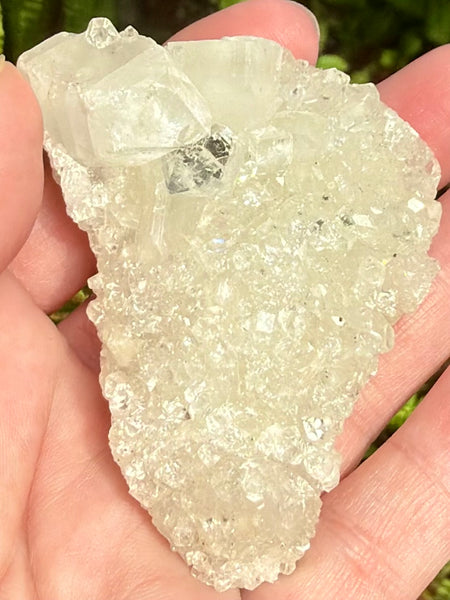 Apophyllite Cluster
