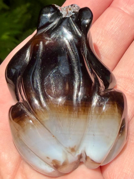 Botswana Agate Frog - Morganna’s Treasures