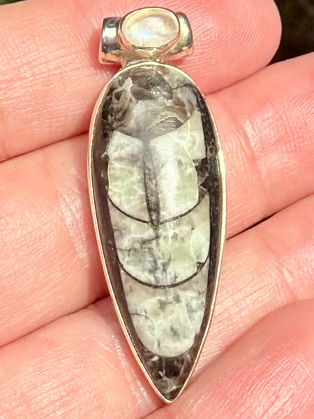 Gorgeous Orthoceras Fossil and Rainbow Moonstone Pendant - Morganna’s Treasures